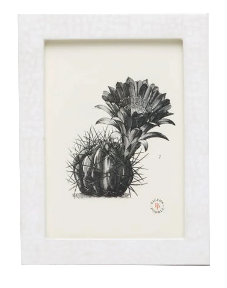 Westport Frame Collection - Image 3