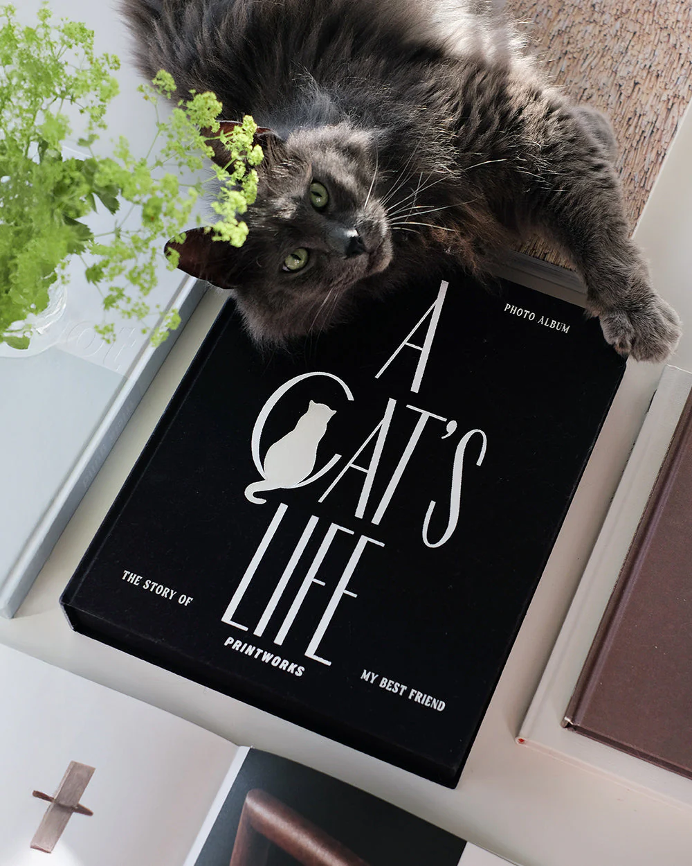 Photo Album A Cat's Life - Image 2