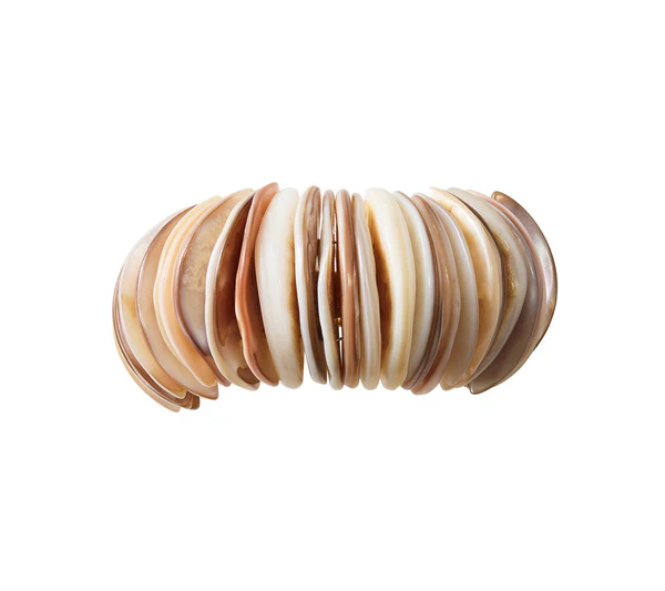 Shell Arch Napkin Ring - Image 2