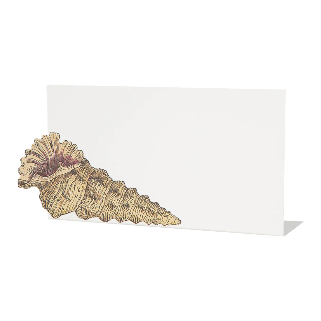 Shell Place Card Set