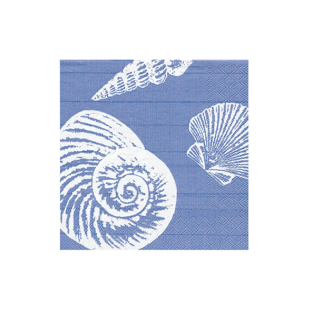 Shells Collection - Image 3