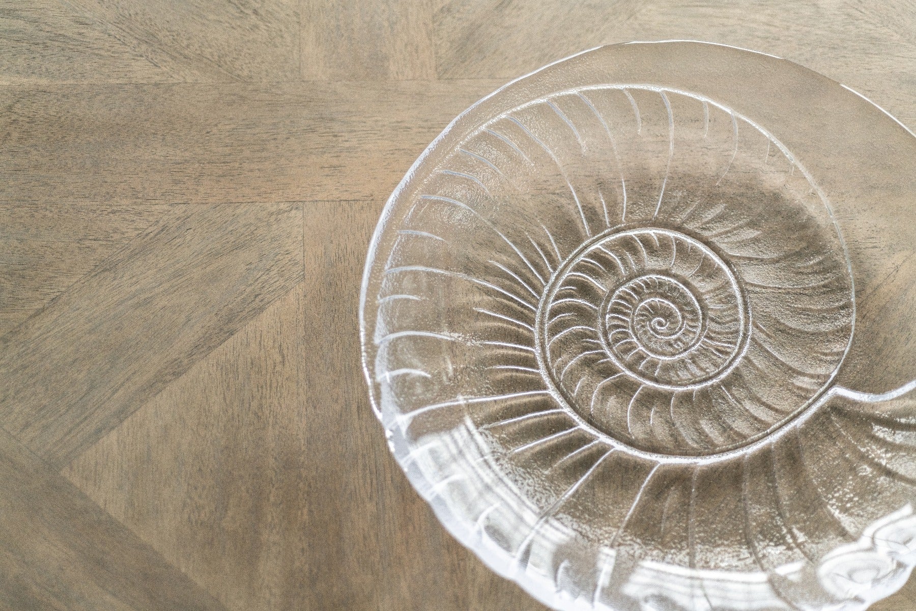Shell Serveware Collection - Image 6