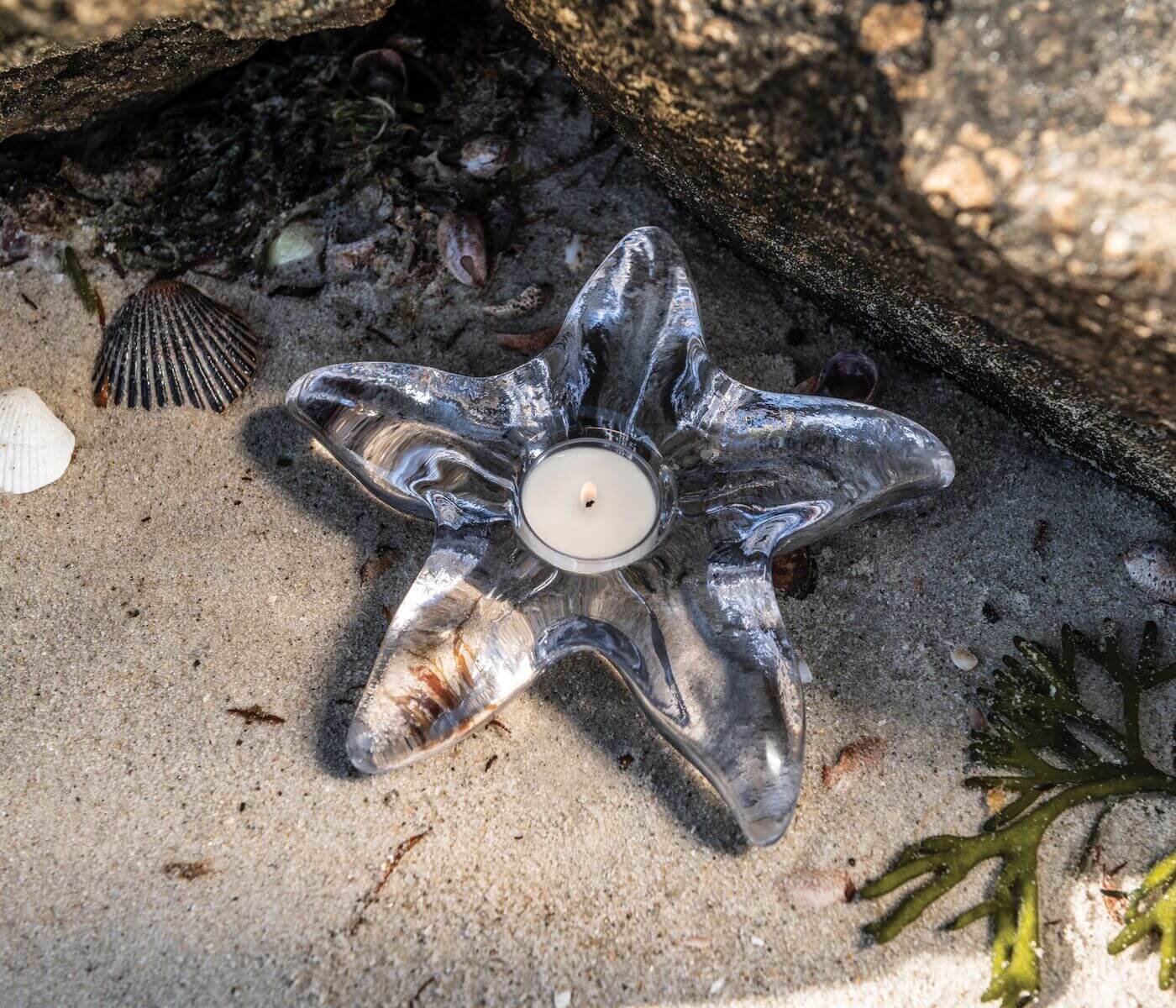 Starfish Glassware Collection - Image 4