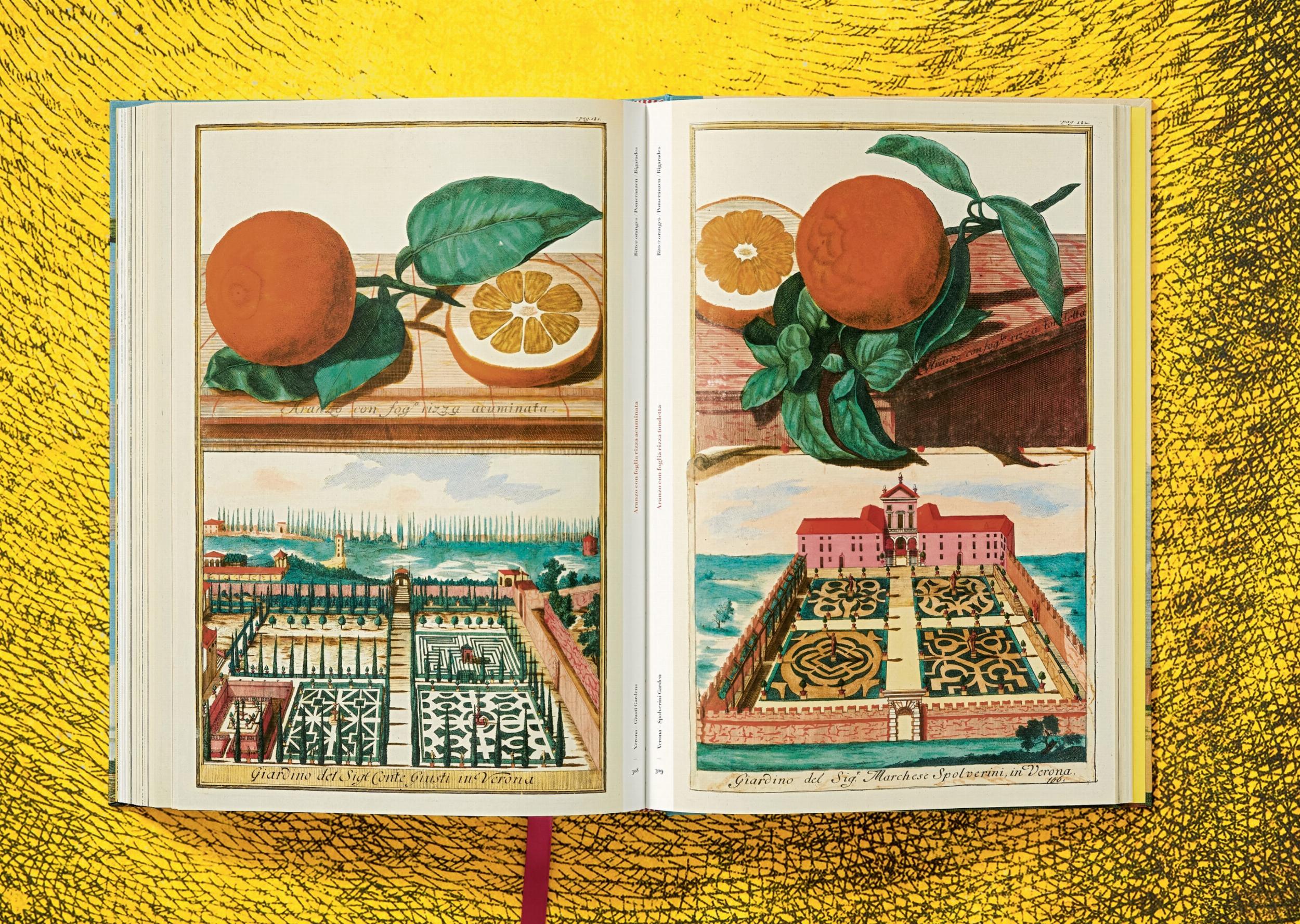 The Book of Citrus - Image 4