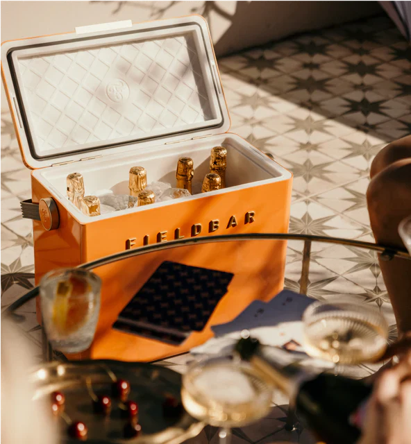 The Gin Trunk - Image 6