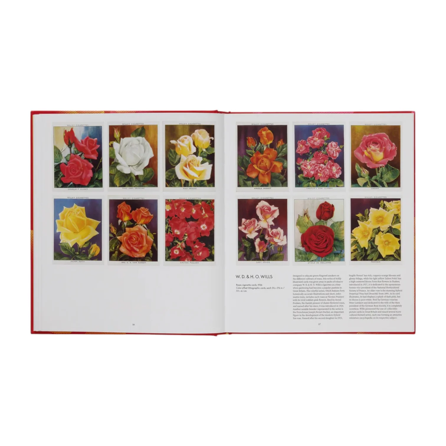 The Rose Book - Image 4