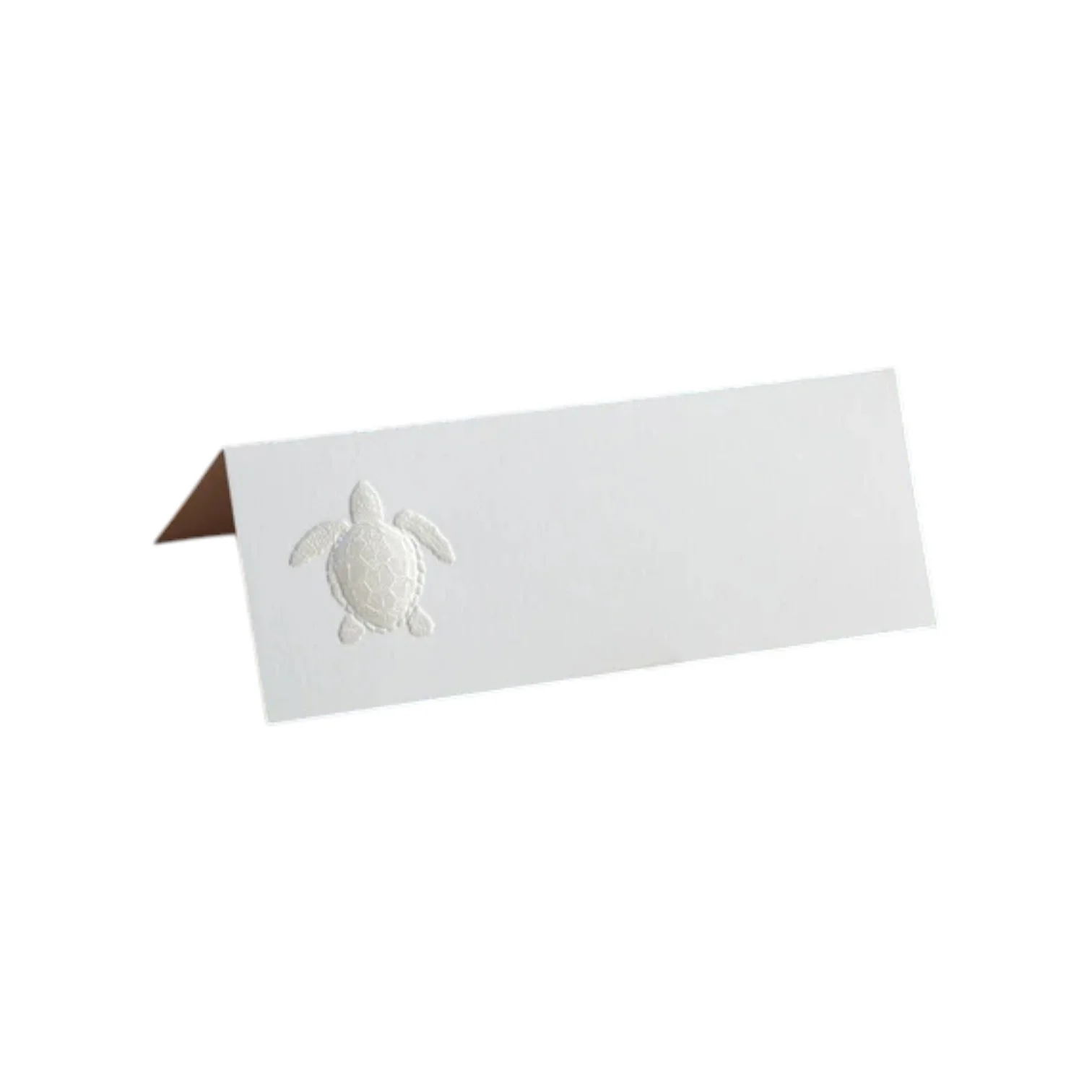 Turtle Place Card Set