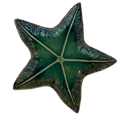 Green Starfish Dish Collection - Image 4