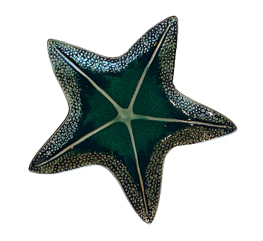 Green Starfish Dish Collection - Image 5