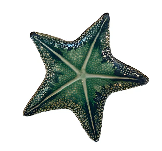 Green Starfish Dish Collection - Image 6