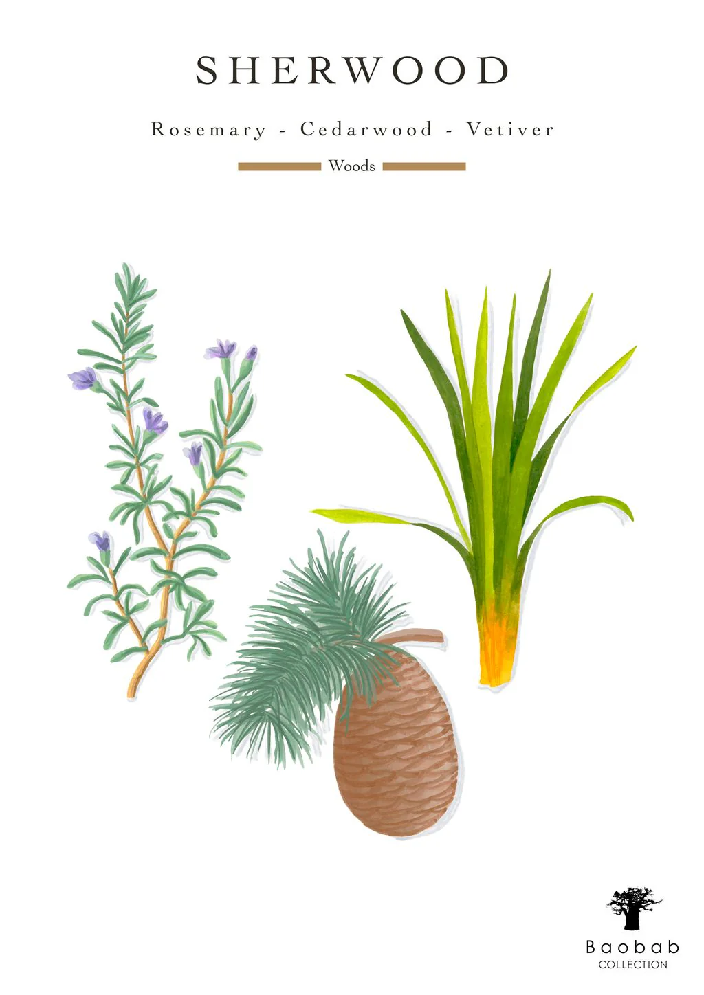 Baobab Collection Woods Sherwood Candle - Image 6